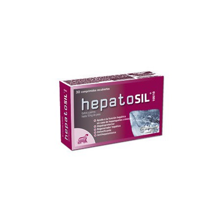 HEPATOSIL PERRO 200/20