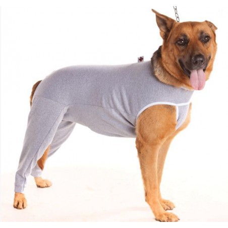PROTECTOR EXTREMIDAD POSTERIOR DRY CONFORT PETMED